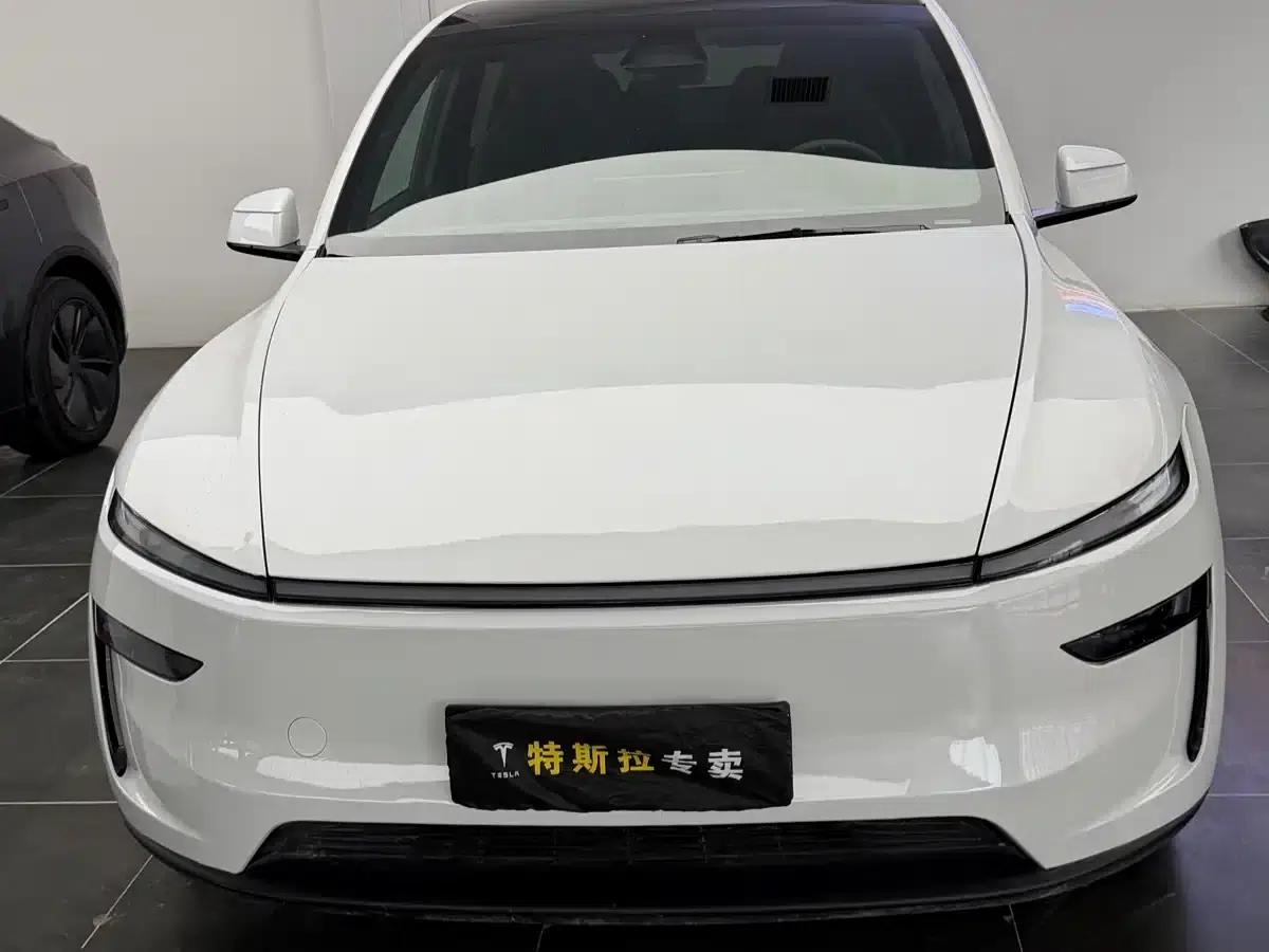 Model Y L 2025 Long Range All-Wheel Drive — миниатюра 2