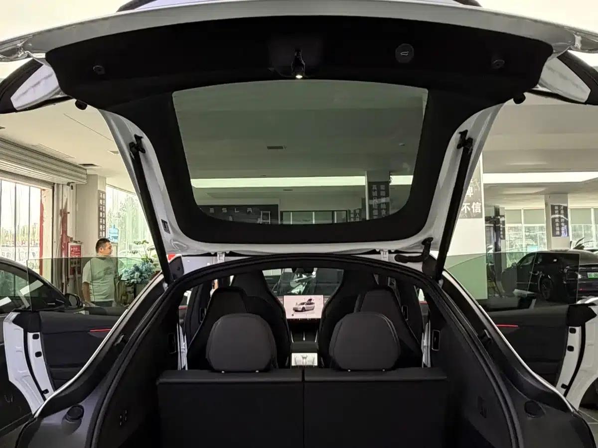 Model Y L 2025 Long Range All-Wheel Drive — миниатюра 12
