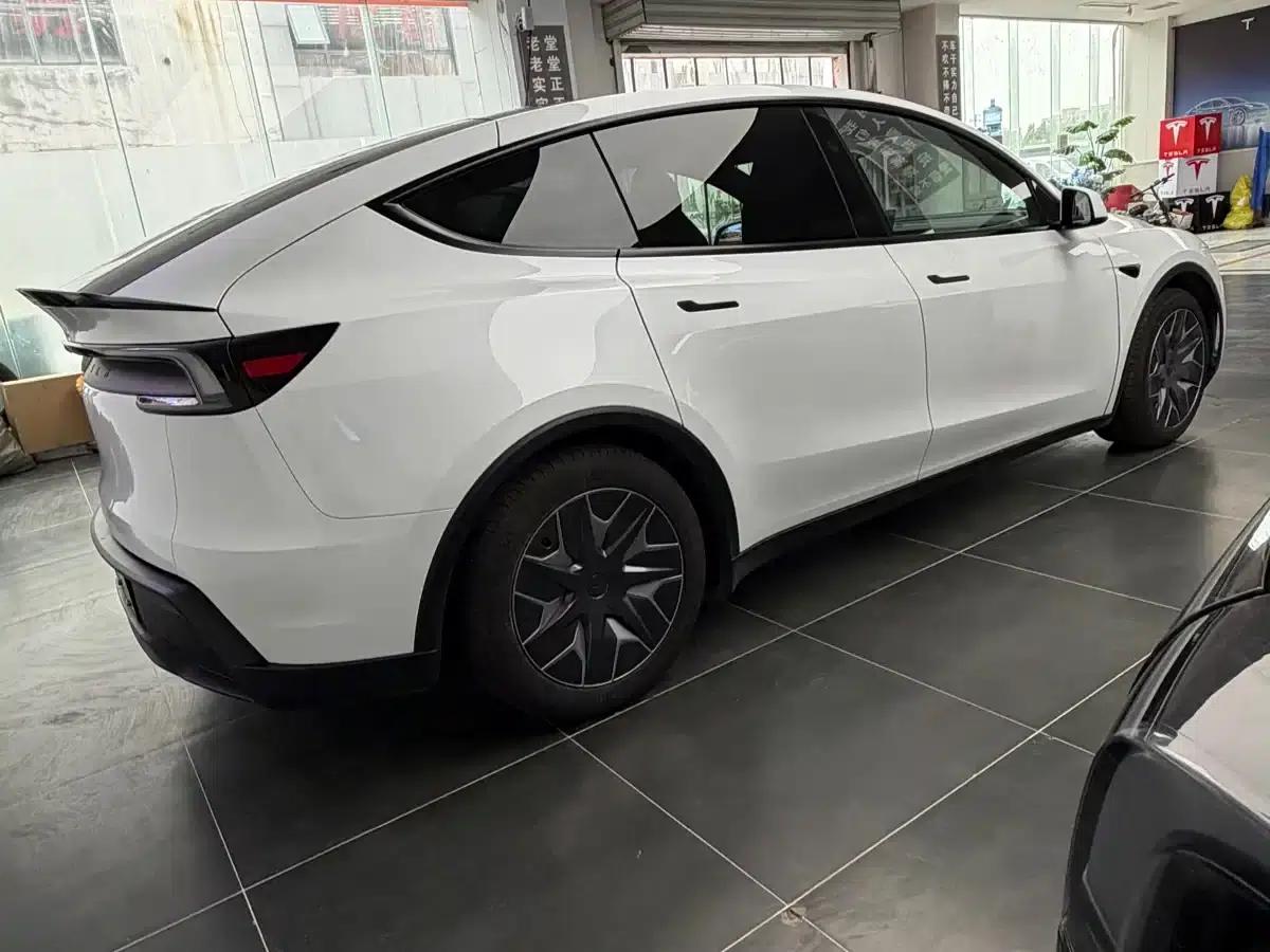 Model Y L 2025 Long Range All-Wheel Drive — миниатюра 3