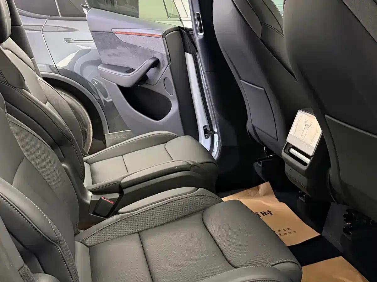 Model Y L 2025 Long Range All-Wheel Drive — миниатюра 10