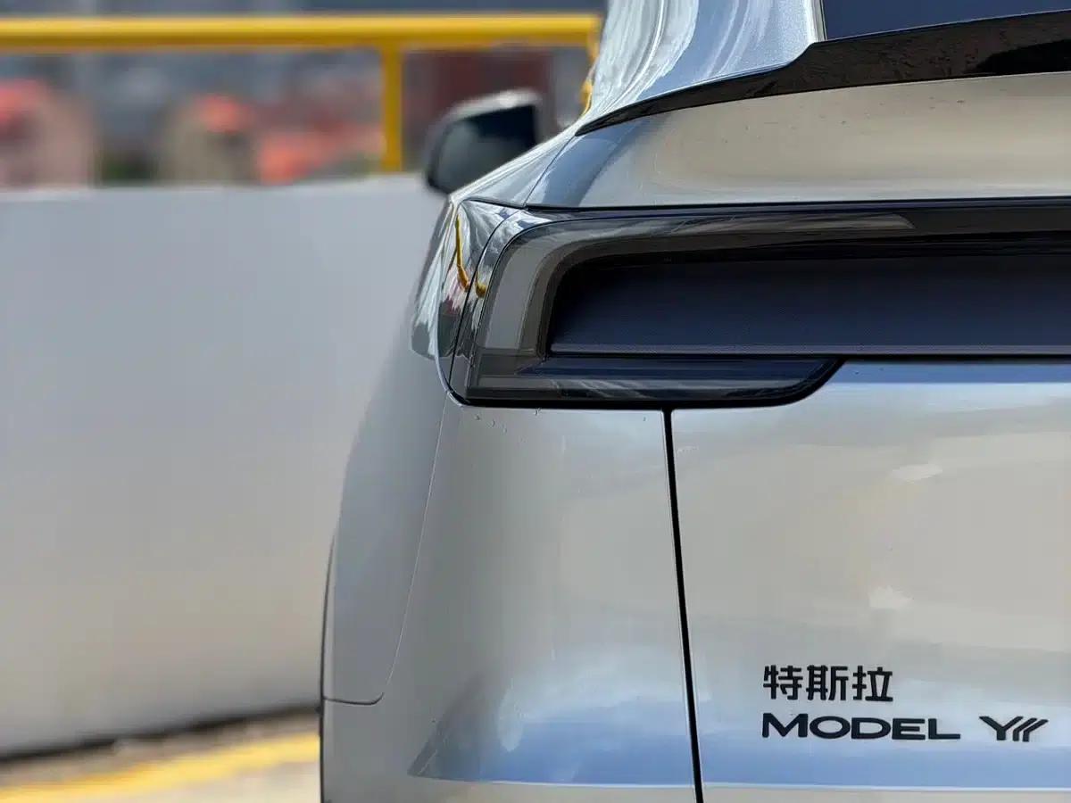 Model Y L 2025 Long Range All-Wheel Drive — миниатюра 11