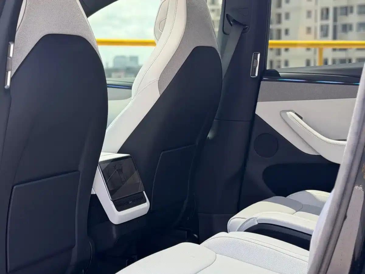 Model Y L 2025 Long Range All-Wheel Drive — миниатюра 17