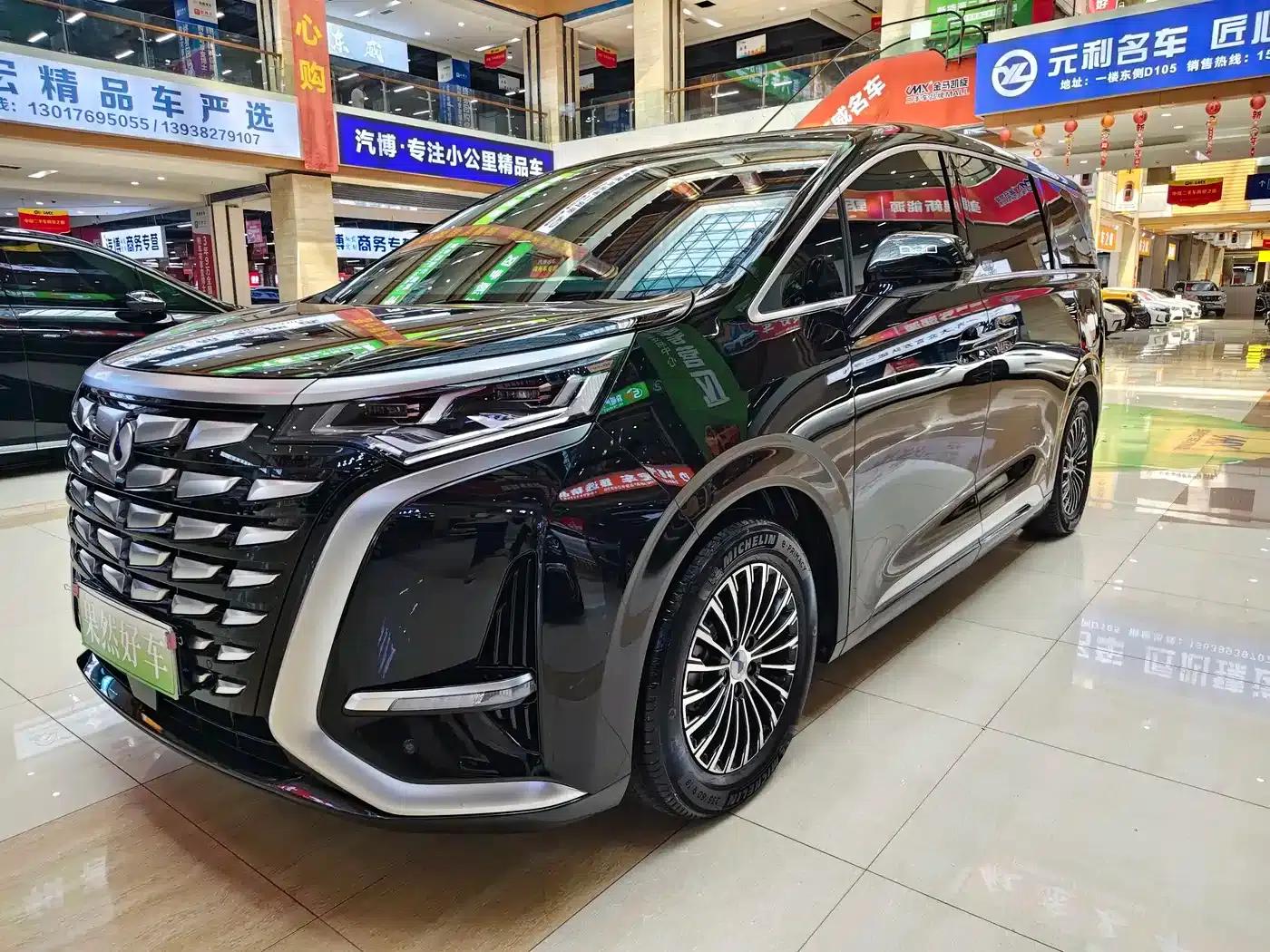 Denza D9 2024 DM-i 980 4WD Premium — миниатюра 1