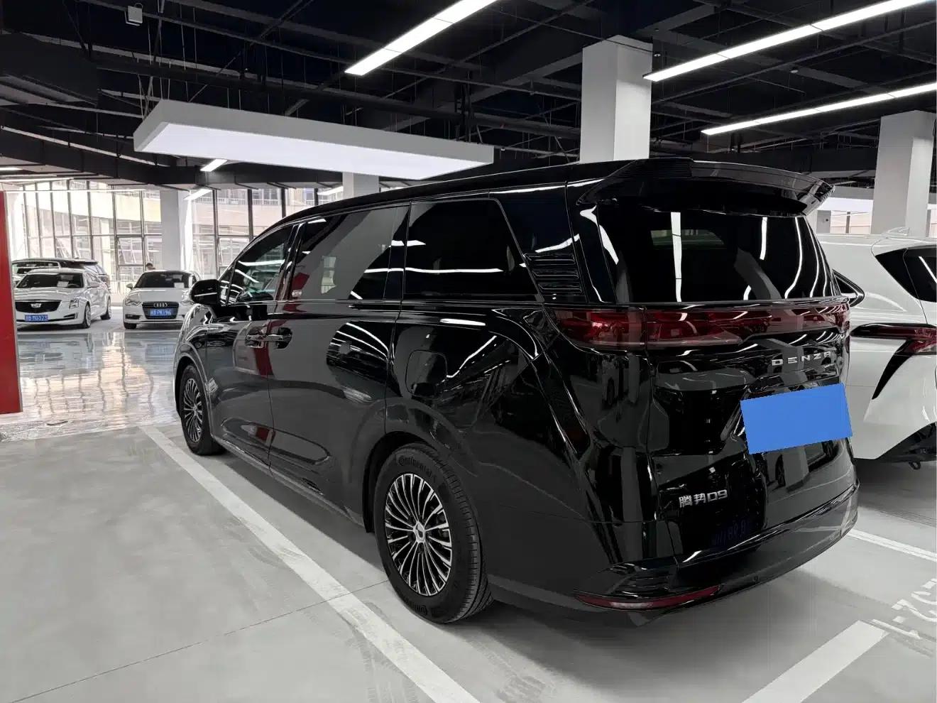 Denza D9 2024 DM-i 1050 Premium Edition — миниатюра 11