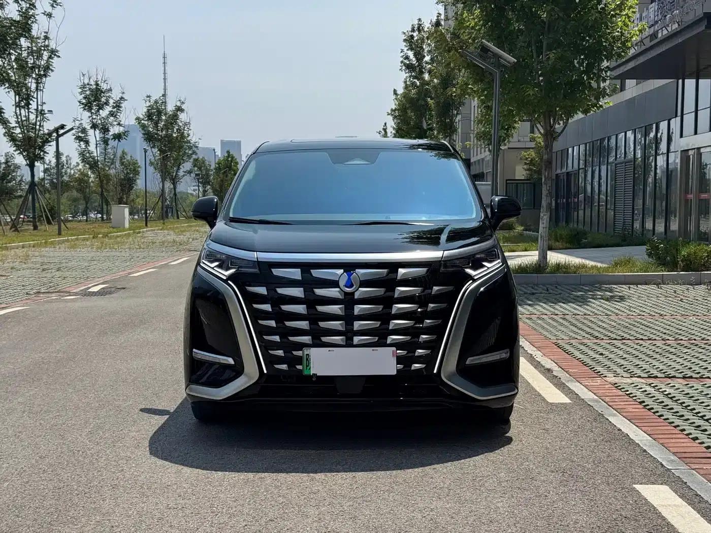 Denza D9 2022 DM-i 970 AWD Flagship Edition — миниатюра 2