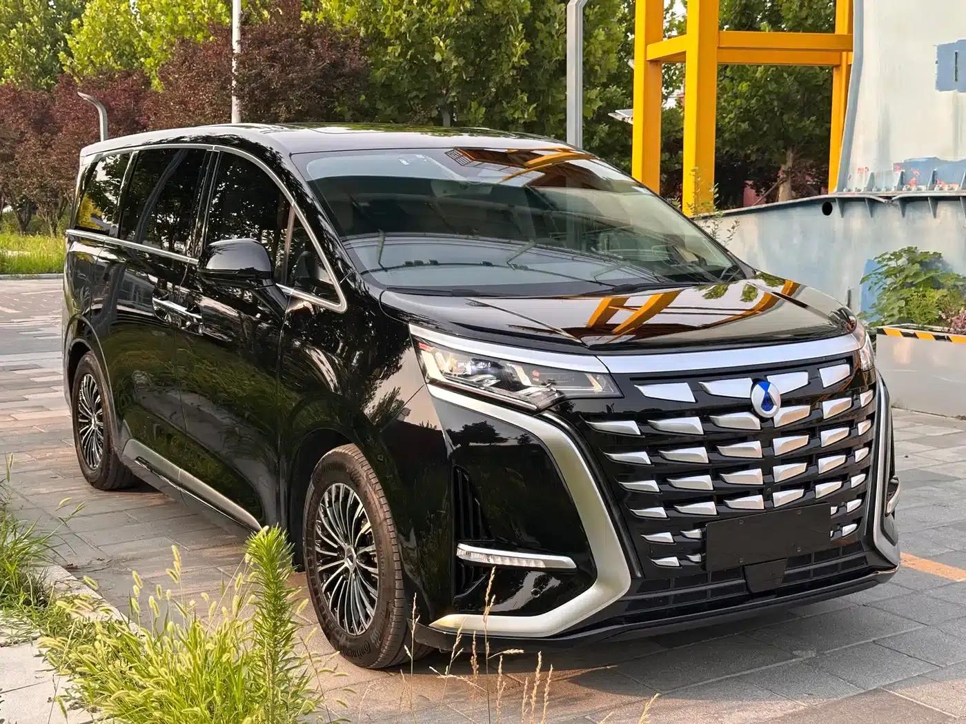 Denza D9 2024 DM-i 980 AWD Flagship — миниатюра 3