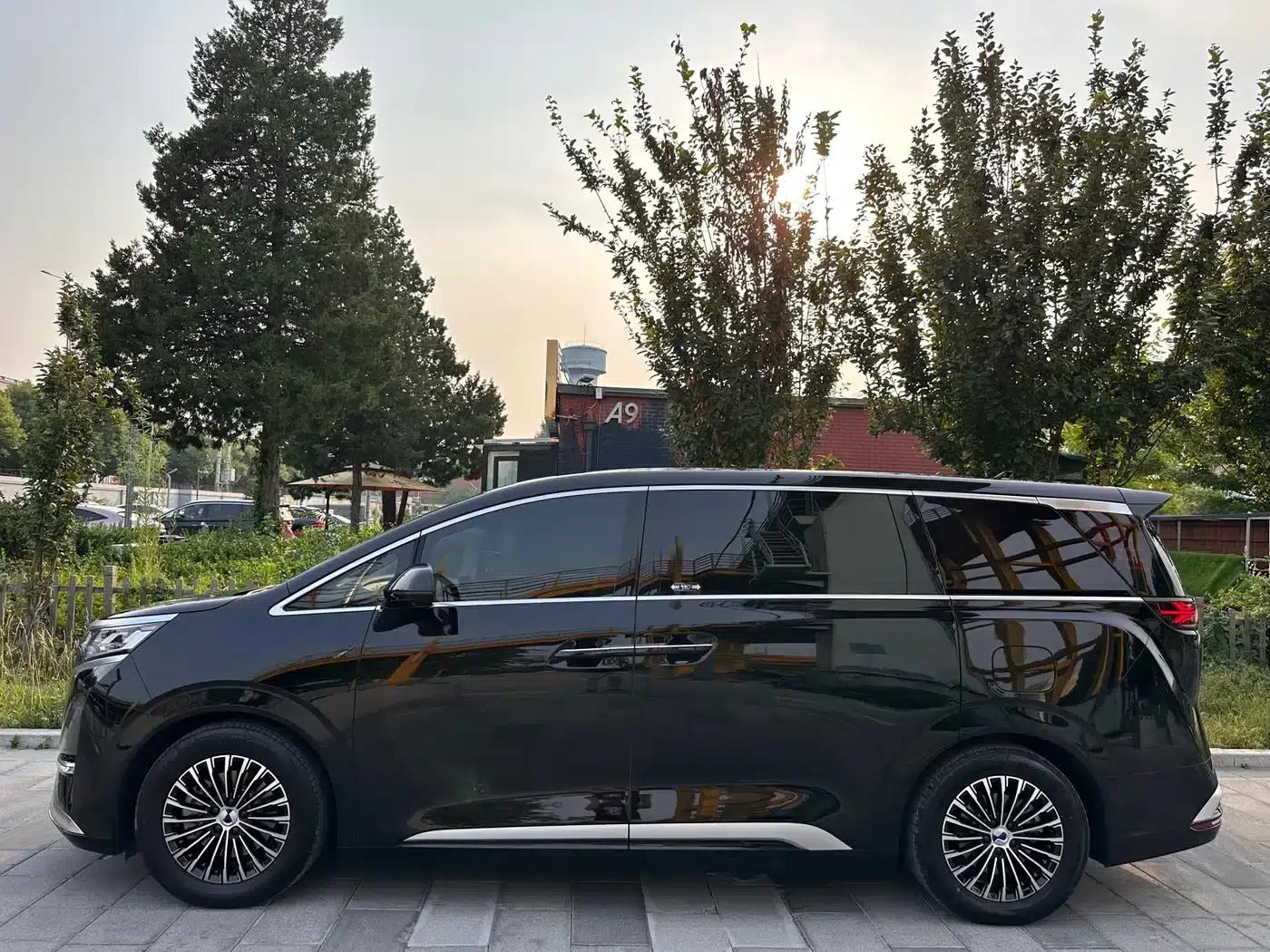 Denza D9 2024 DM-i 980 AWD Flagship — миниатюра 22