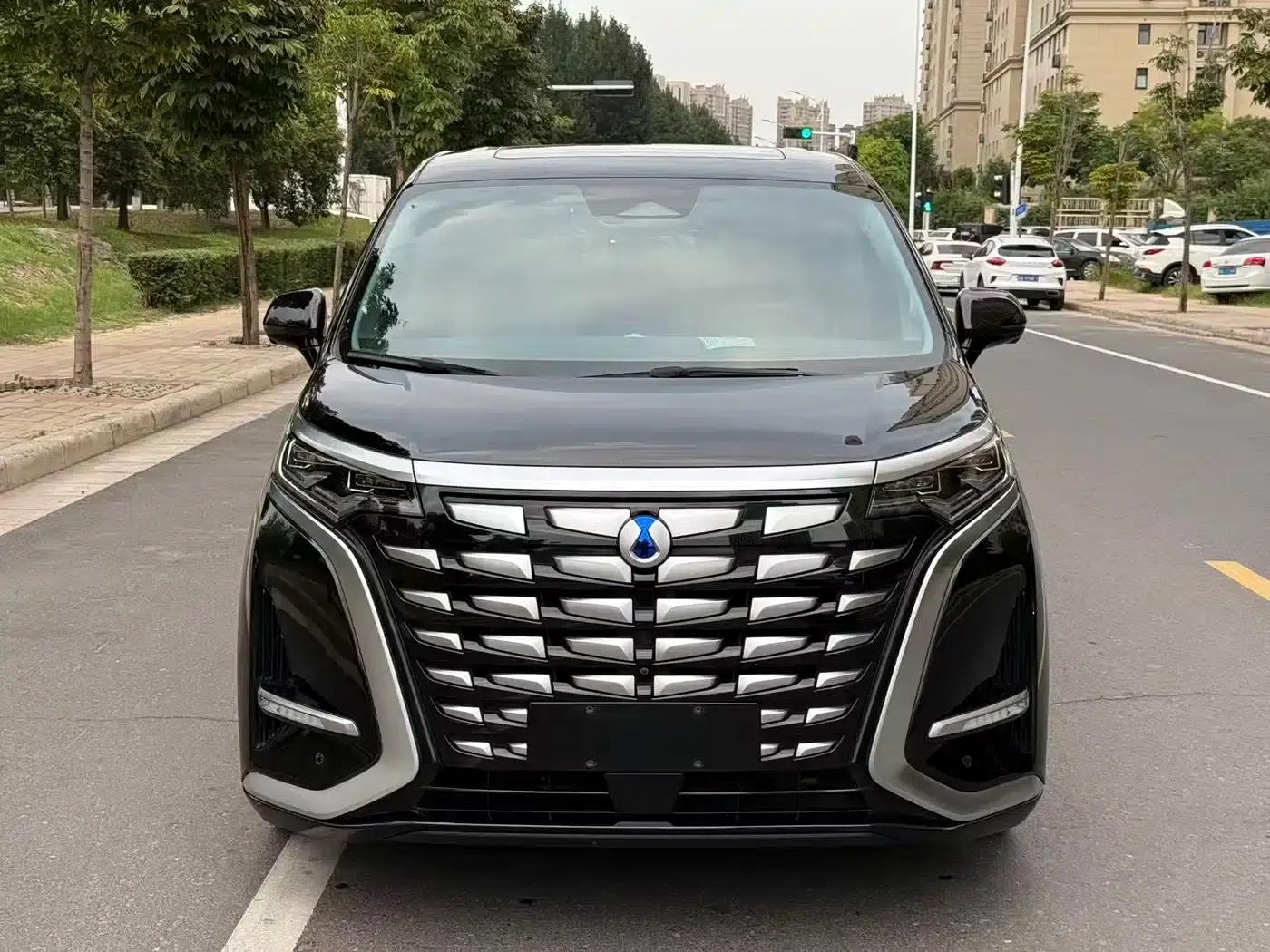 Denza D9 2022 DM-i 970 AWD Flagship Edition — миниатюра 2