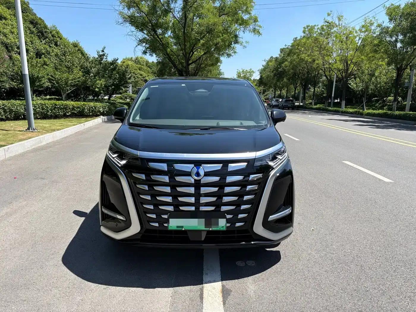 Denza D9 2022 DM-i 970 4WD Premium Edition — миниатюра 2