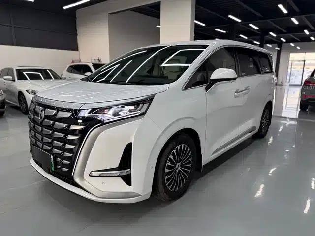 Denza D9 2024 DM-i 980 AWD Flagship