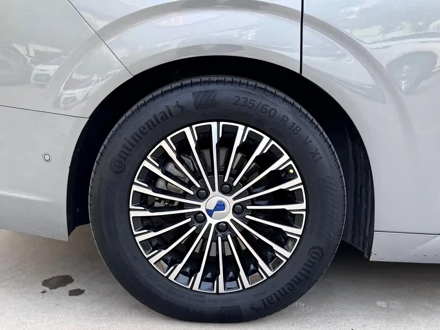Denza D9 2022 DM-i 970 AWD Flagship Edition — миниатюра 12