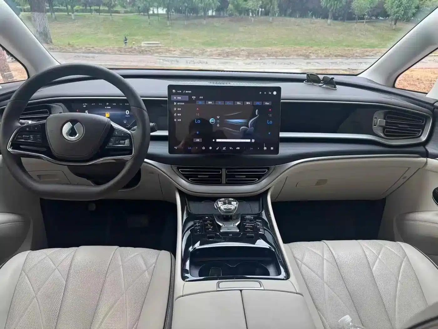 Denza D9 2024 DM-i 980 4WD Premium Edition — миниатюра 4