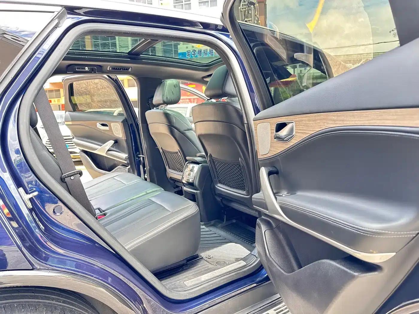 Denza X 2020 PHEV Classic Edition — миниатюра 9