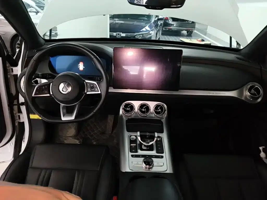 Denza X 2020 PHEV Classic Edition — миниатюра 10