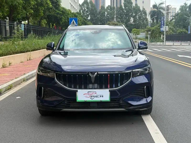 Voyah FREE 2021 AWD Standard Range Extender Exclusive Luxury Package — миниатюра 2