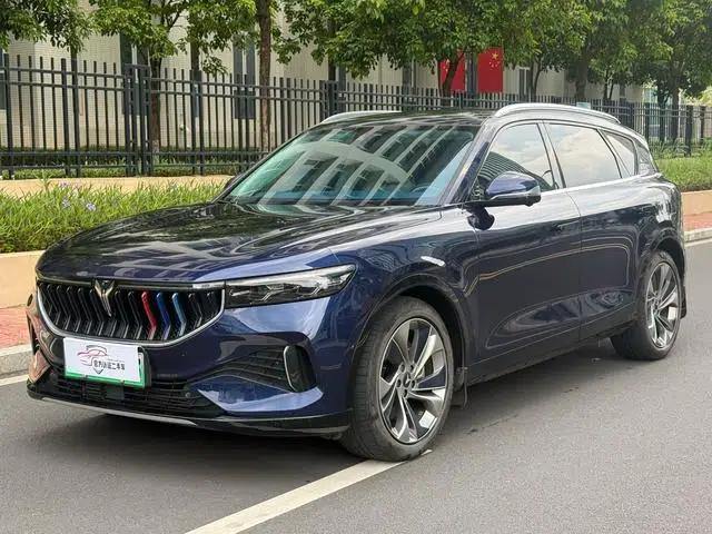Voyah FREE 2021 AWD Standard Range Extender Exclusive Luxury Package