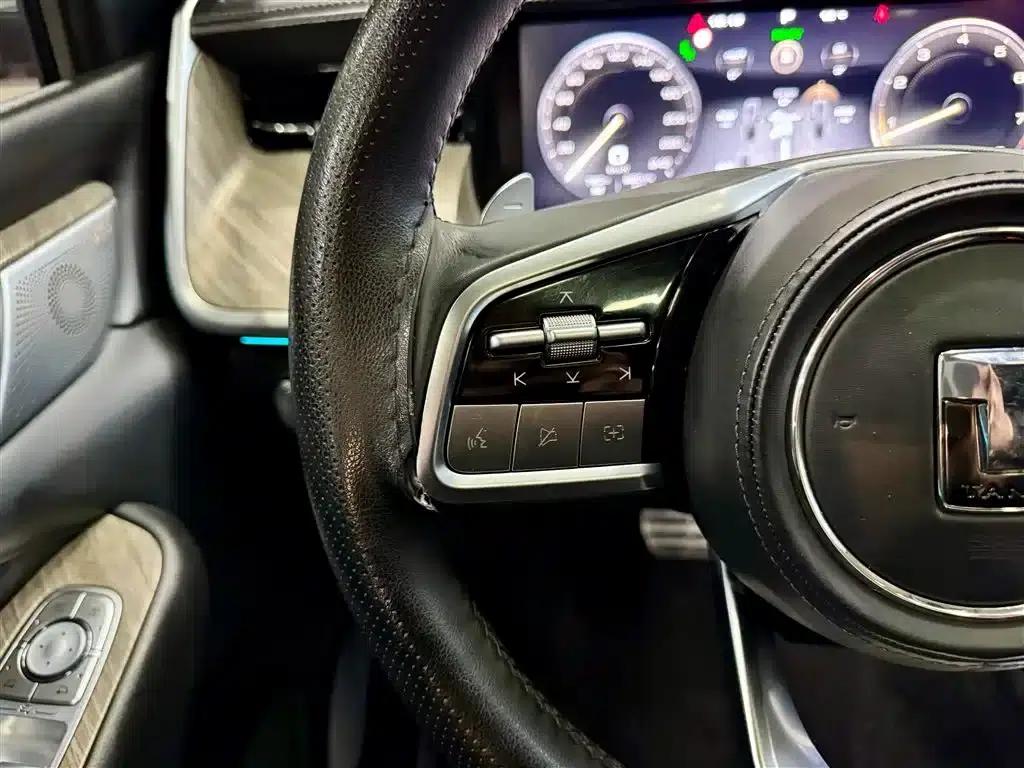 Tank 500 2022 3.0T Business Edition, 5-seater — миниатюра 24