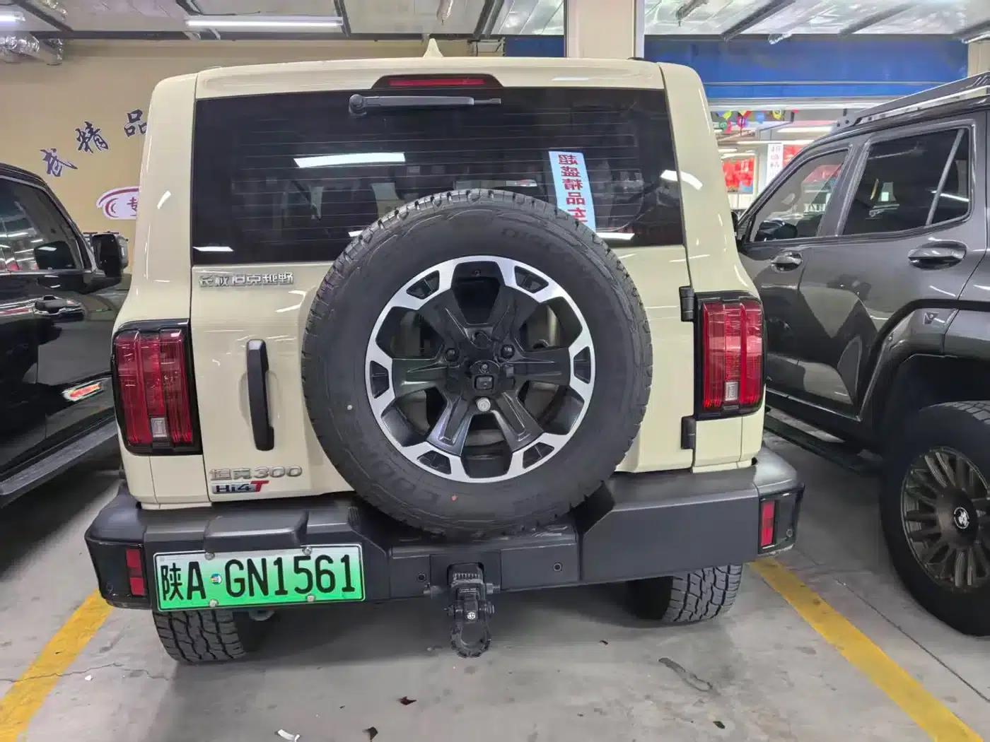 Tank 300 New Energy 2025 Hi4-T 37.1kWh — миниатюра 17