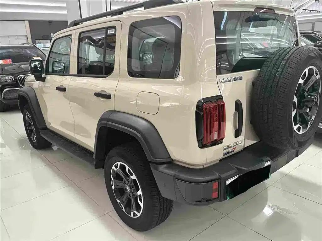 Tank 300 New Energy 2025 Hi4-T 37.1kWh — миниатюра 13