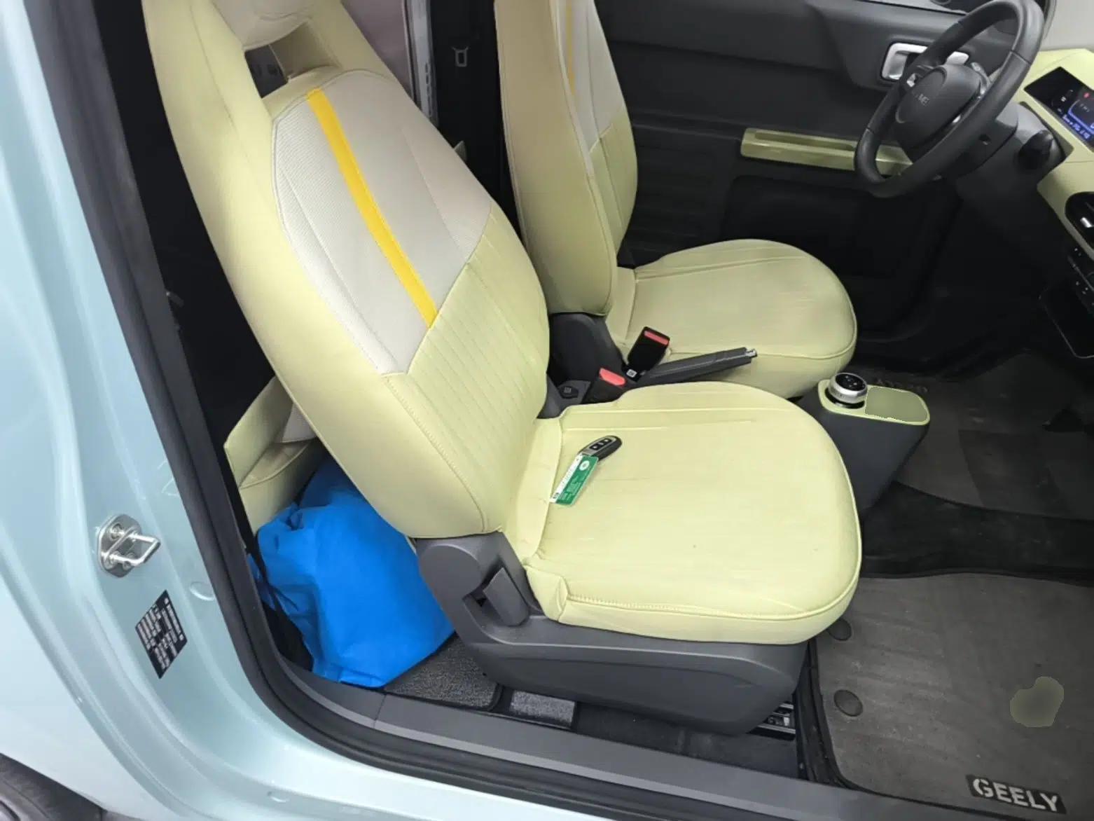 Geely Galaxy Panda 2023 Panda Mini 200km Endurance Bear — миниатюра 19