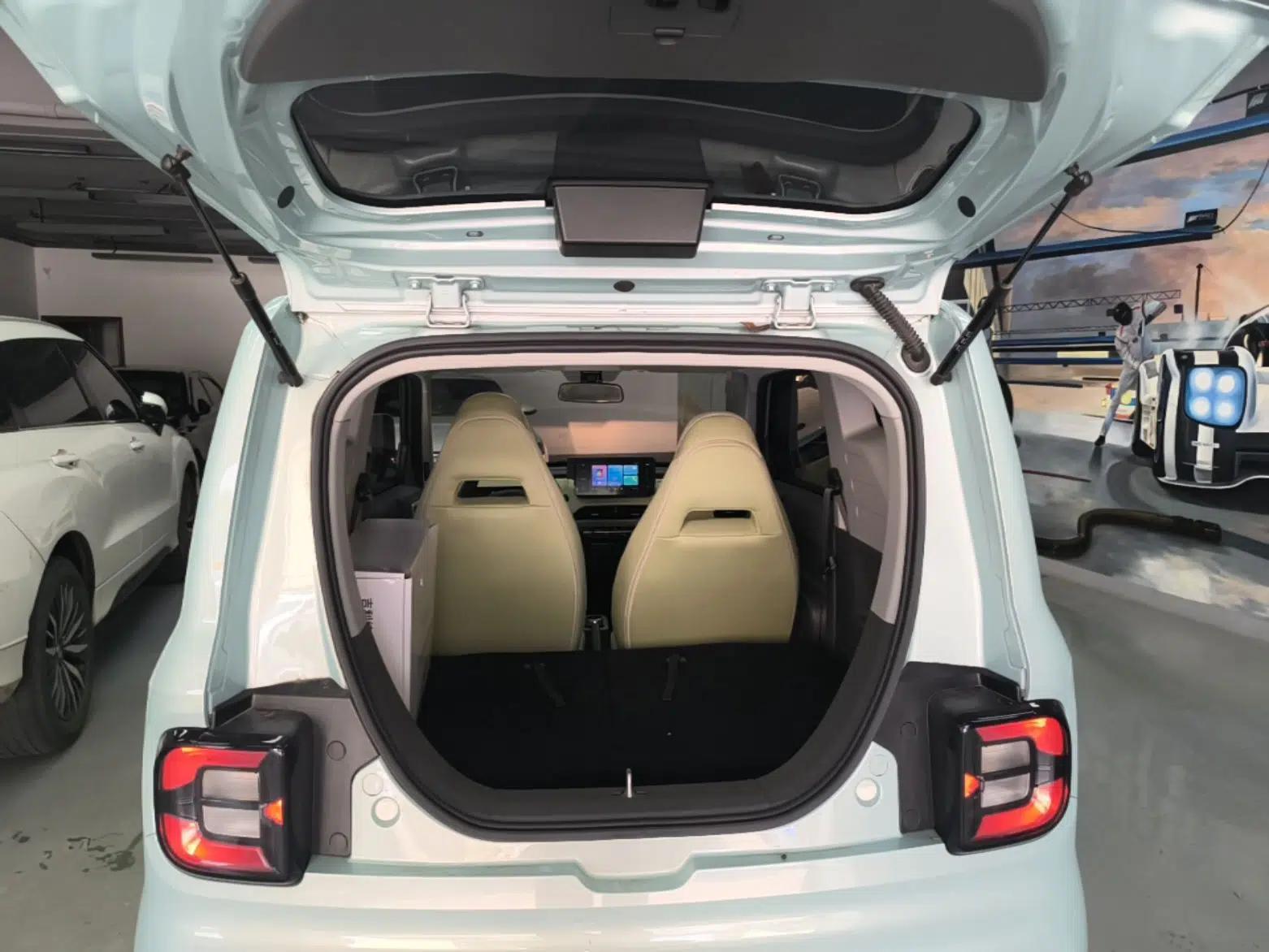 Geely Galaxy Panda 2023 Panda Mini 200km Endurance Bear — миниатюра 22