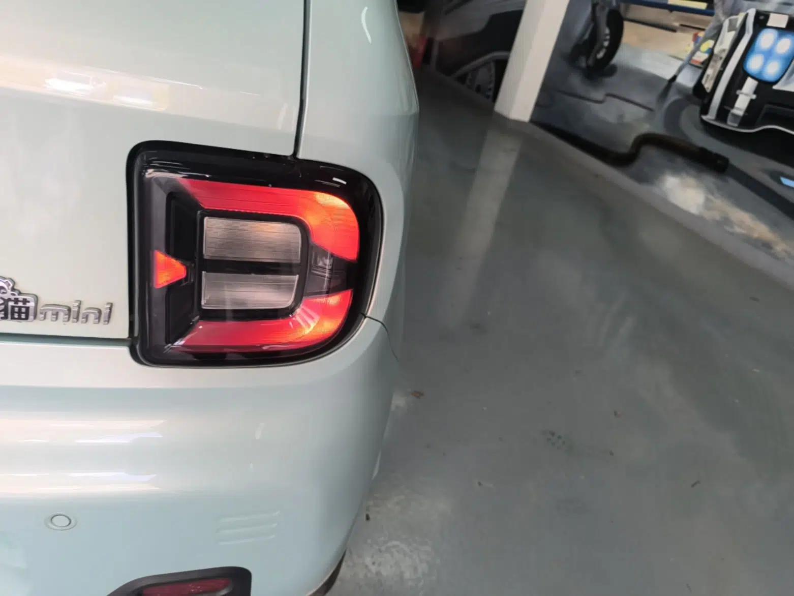 Geely Galaxy Panda 2023 Panda Mini 200km Endurance Bear — миниатюра 9