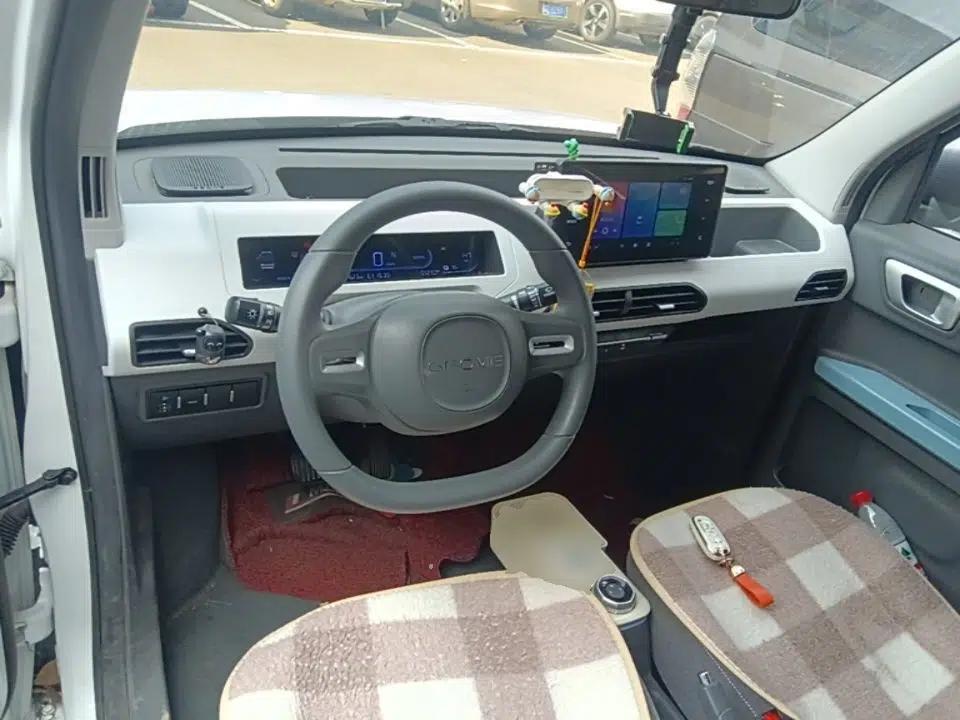 Geely Galaxy Panda 2023 Panda Mini 200km Endurance Bear — миниатюра 17