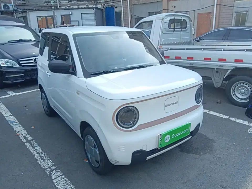 Geely Galaxy Panda 2023 Panda Mini 200km Endurance Bear — миниатюра 3