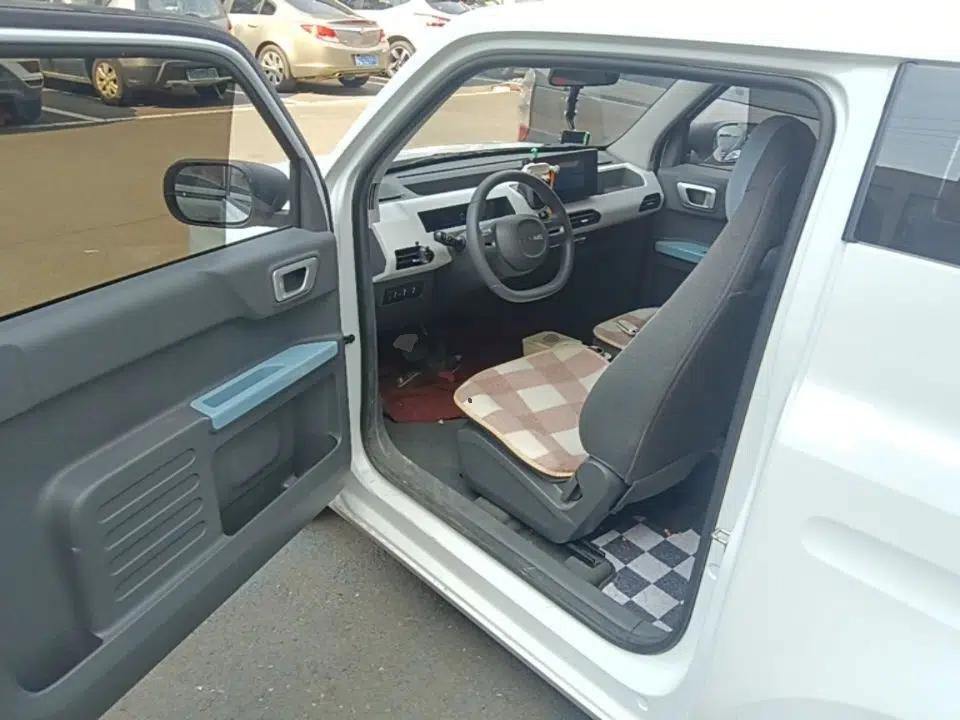 Geely Galaxy Panda 2023 Panda Mini 200km Endurance Bear — миниатюра 23