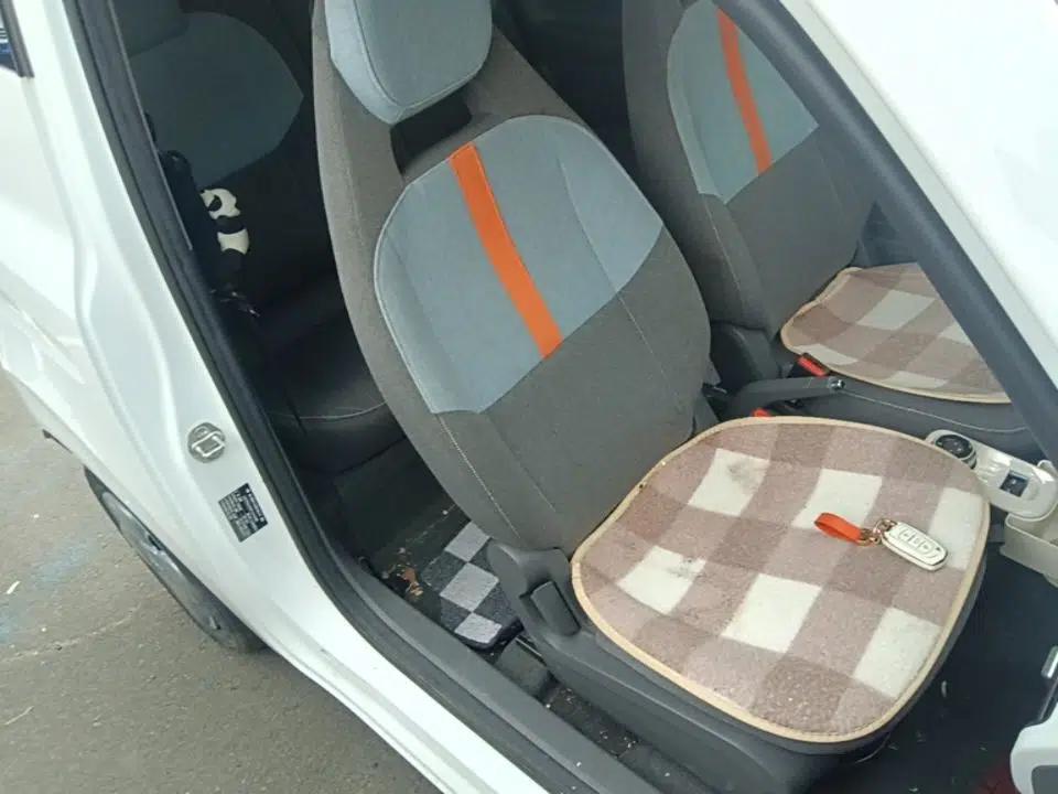 Geely Galaxy Panda 2023 Panda Mini 200km Endurance Bear — миниатюра 24