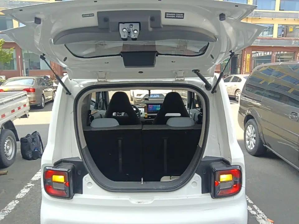 Geely Galaxy Panda 2023 Panda Mini 200km Endurance Bear — миниатюра 27