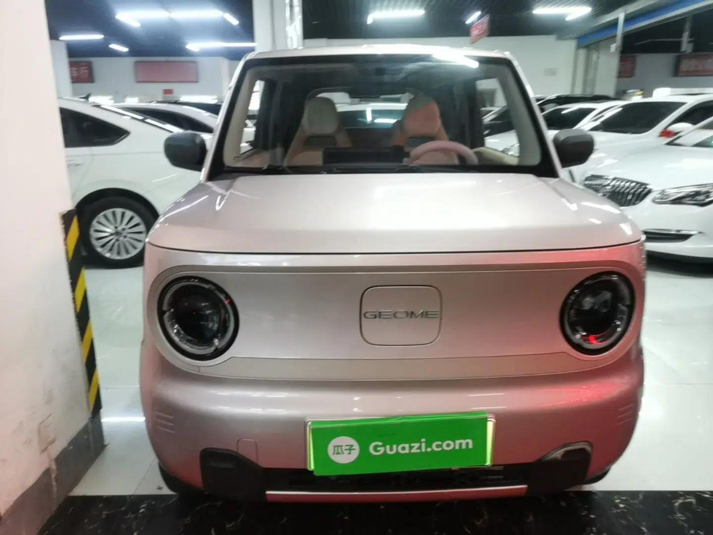 Geely Galaxy Panda 2023 Panda Mini 200km Endurance Bear — миниатюра 2