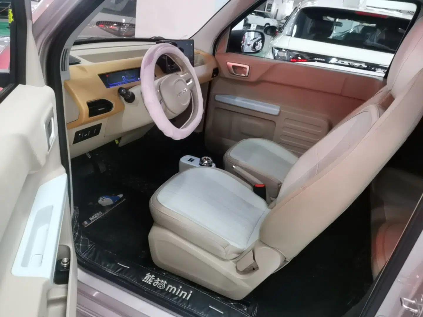 Geely Galaxy Panda 2023 Panda Mini 200km Endurance Bear — миниатюра 17