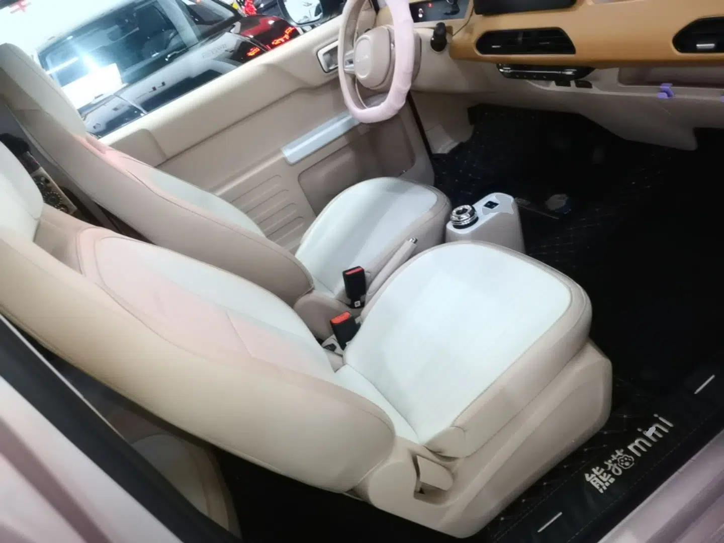 Geely Galaxy Panda 2023 Panda Mini 200km Endurance Bear — миниатюра 19