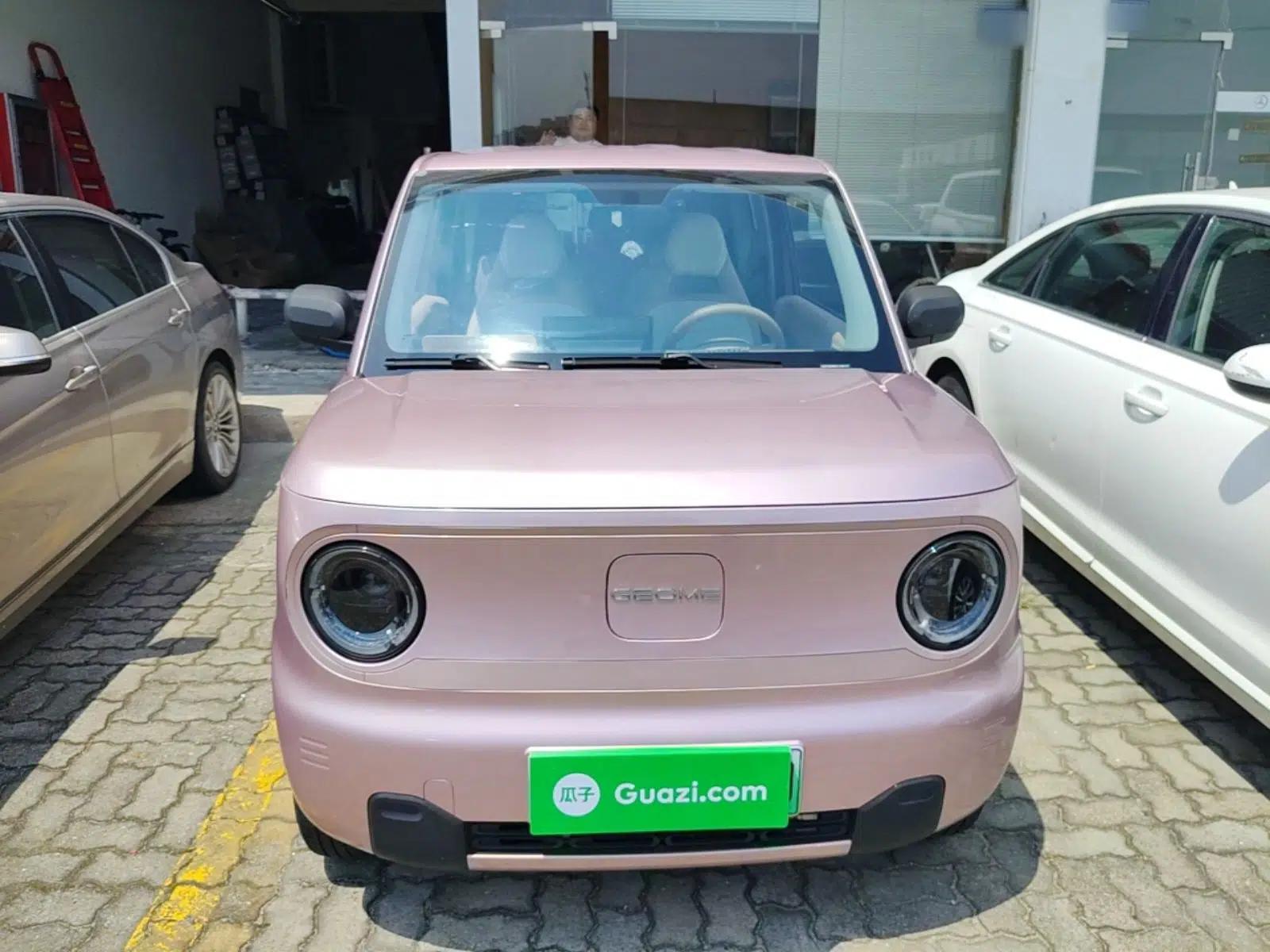 Geely Galaxy Panda 2023 Panda Mini 200km Endurance Bear — миниатюра 2
