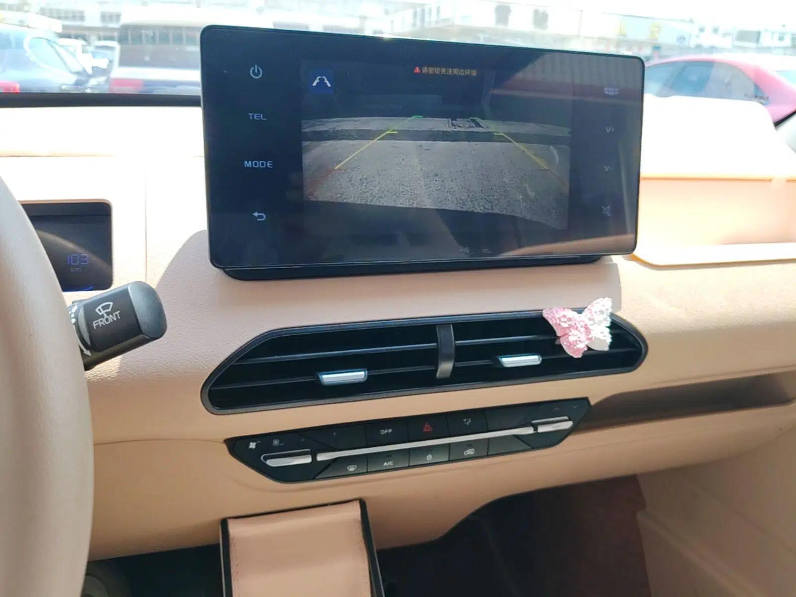 Geely Galaxy Panda 2023 Panda Mini 200km Endurance Bear — миниатюра 15