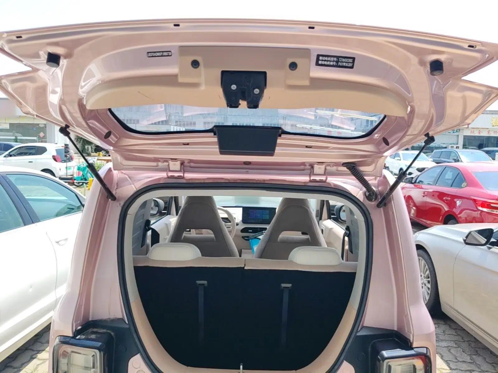 Geely Galaxy Panda 2023 Panda Mini 200km Endurance Bear — миниатюра 22