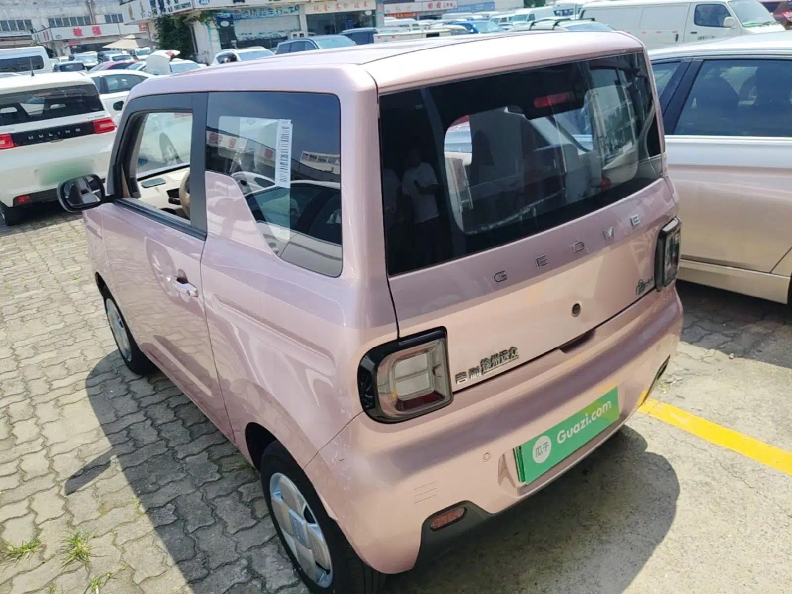 Geely Galaxy Panda 2023 Panda Mini 200km Endurance Bear — миниатюра 4
