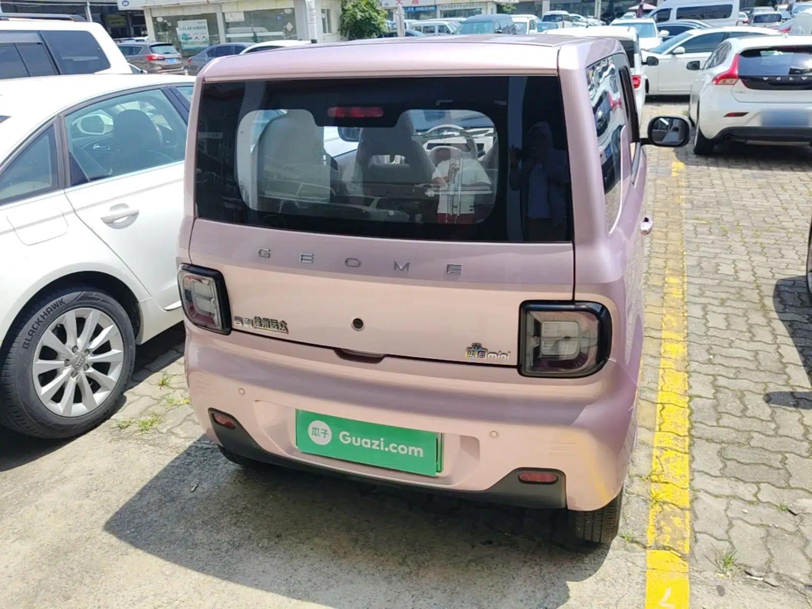 Geely Galaxy Panda 2023 Panda Mini 200km Endurance Bear — миниатюра 5