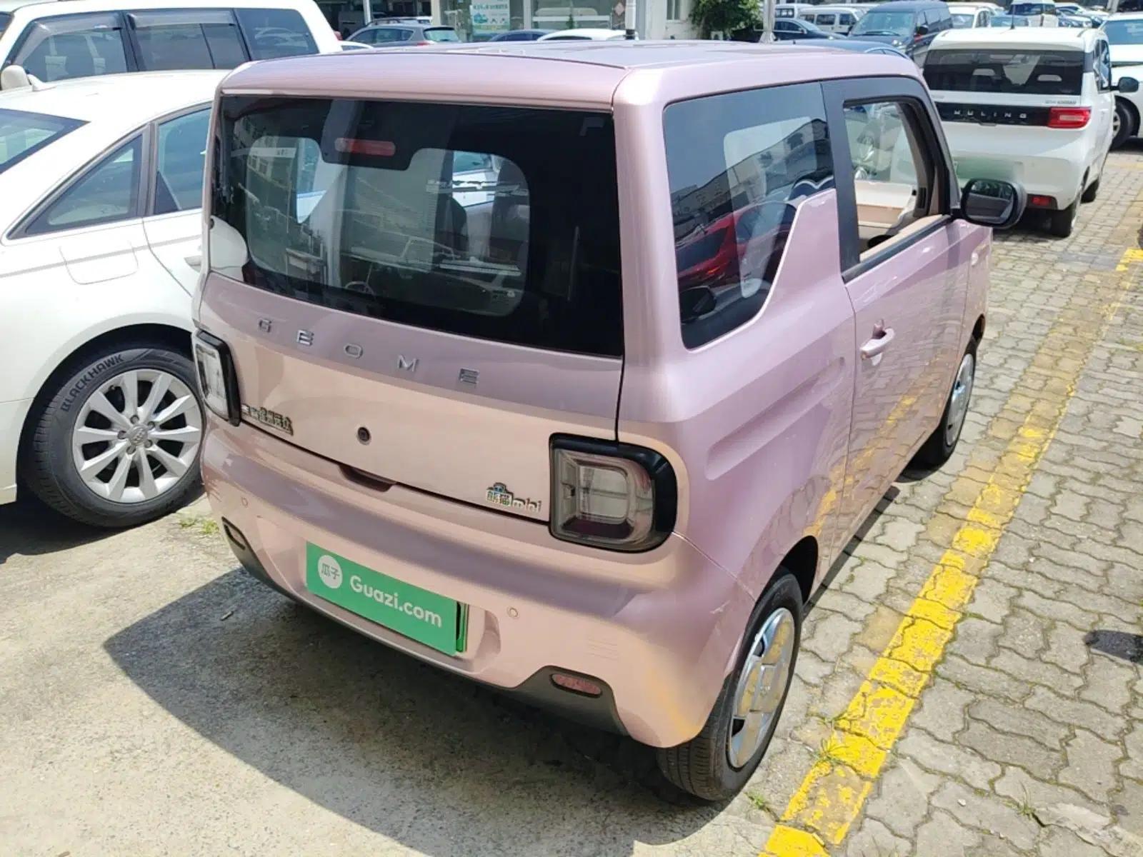 Geely Galaxy Panda 2023 Panda Mini 200km Endurance Bear — миниатюра 6