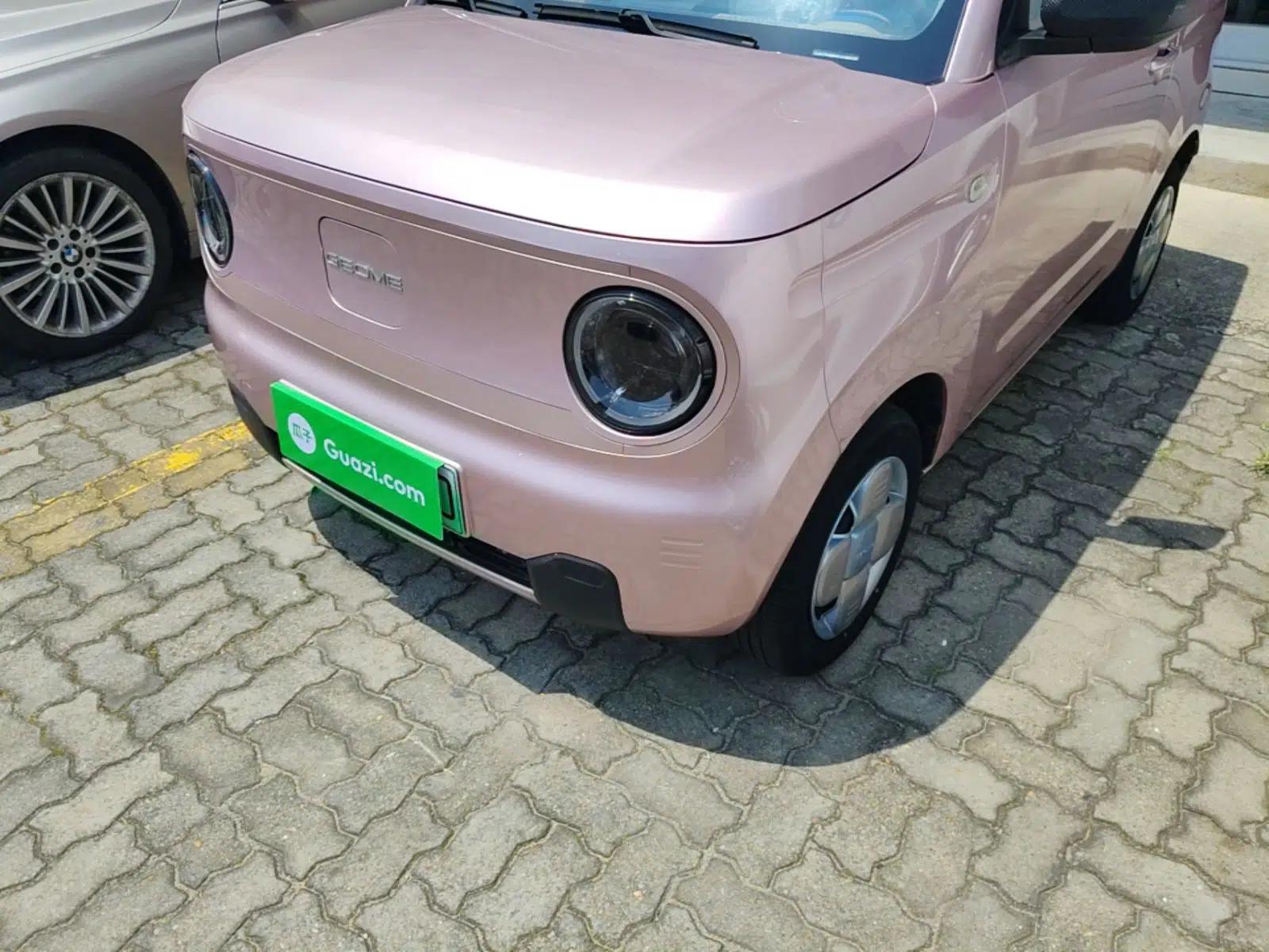 Geely Galaxy Panda 2023 Panda Mini 200km Endurance Bear — миниатюра 8