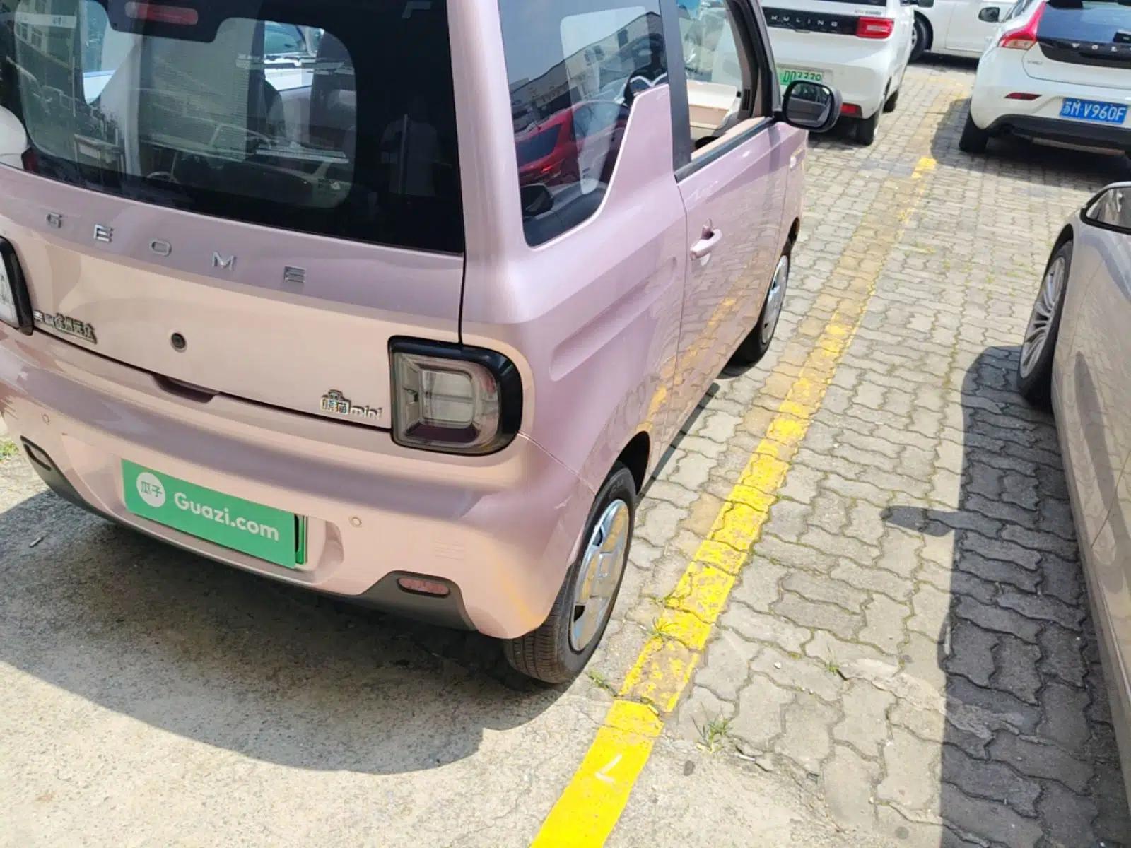 Geely Galaxy Panda 2023 Panda Mini 200km Endurance Bear — миниатюра 9