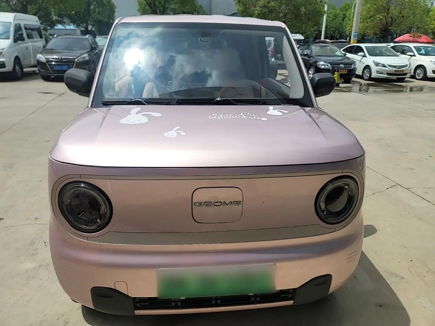 Geely Galaxy Panda 2023 Panda Mini 200km Endurance Bear — миниатюра 2