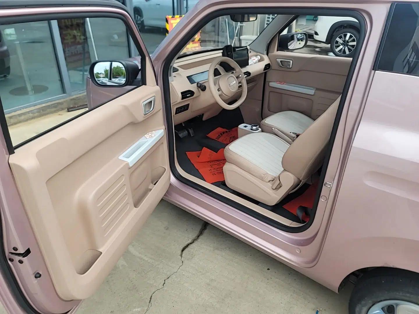 Geely Galaxy Panda 2023 Panda Mini 200km Endurance Bear — миниатюра 18