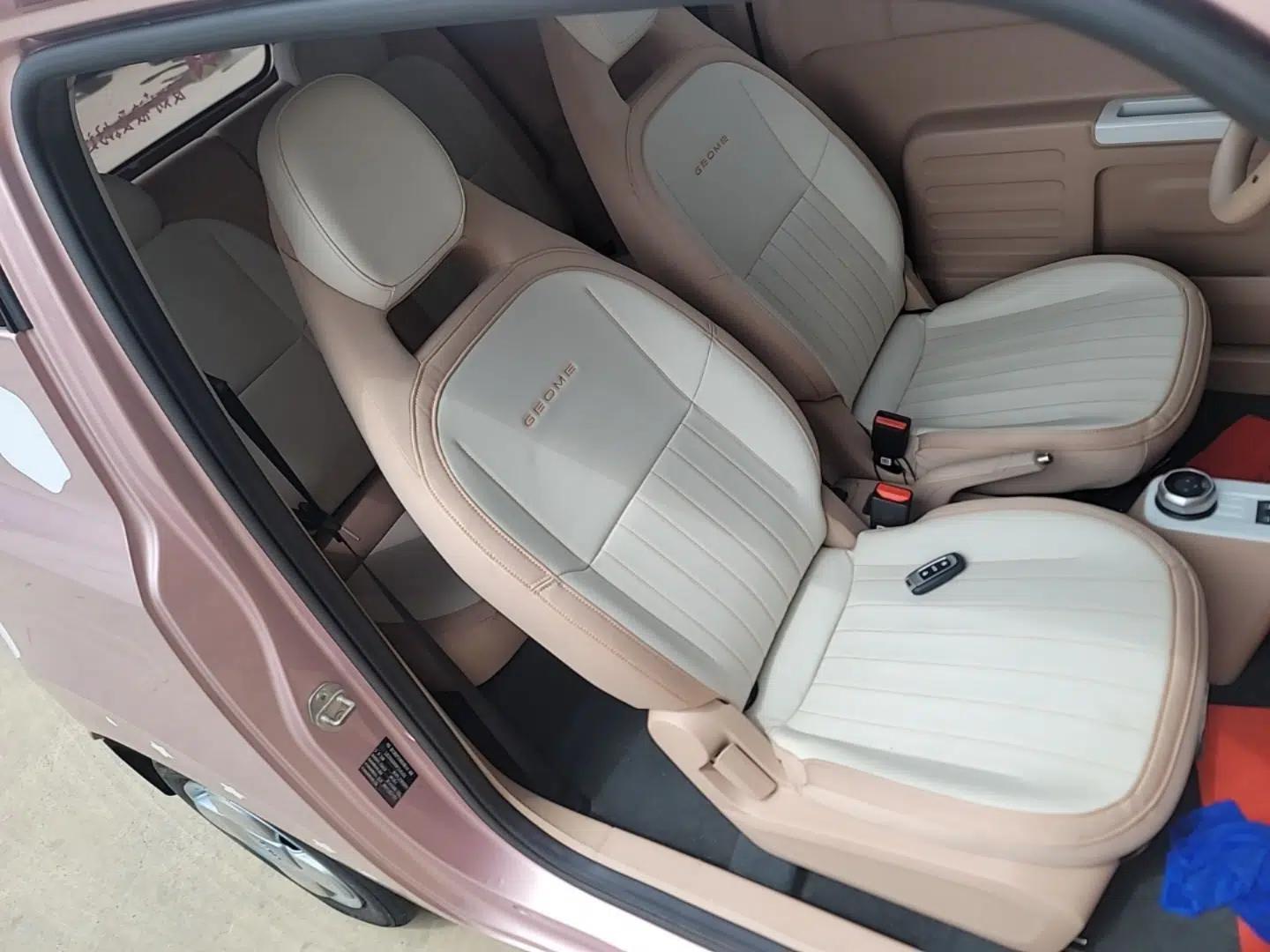 Geely Galaxy Panda 2023 Panda Mini 200km Endurance Bear — миниатюра 19