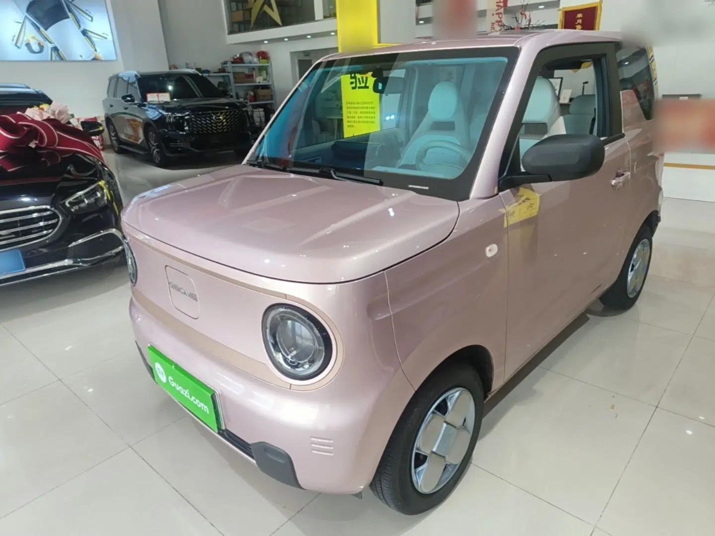 Geely Galaxy Panda 2024 Panda Mini 200km Endurance Bear — миниатюра 1