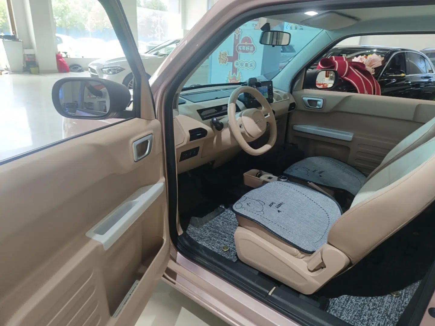 Geely Galaxy Panda 2024 Panda Mini 200km Endurance Bear — миниатюра 18