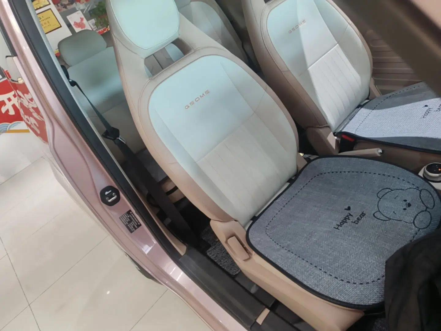 Geely Galaxy Panda 2024 Panda Mini 200km Endurance Bear — миниатюра 19
