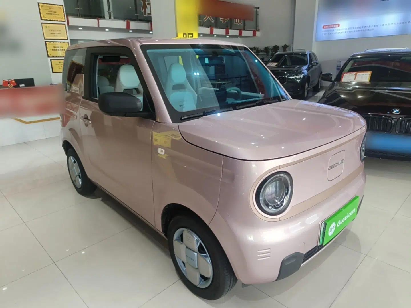 Geely Galaxy Panda 2024 Panda Mini 200km Endurance Bear — миниатюра 3