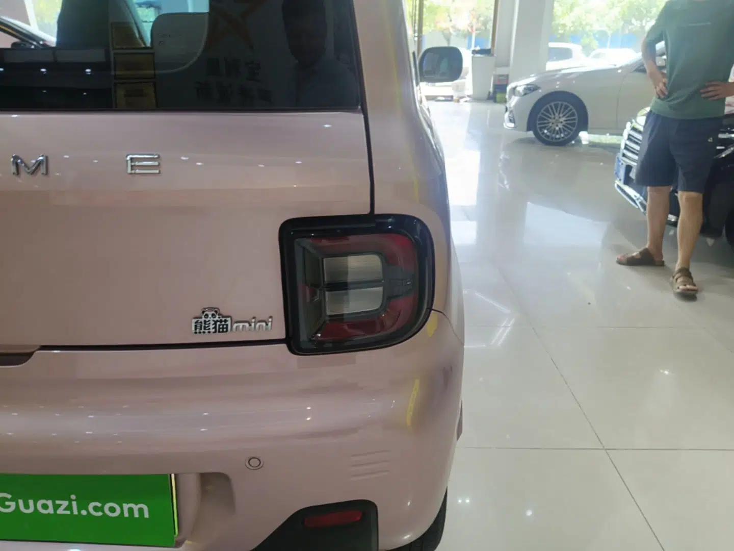Geely Galaxy Panda 2024 Panda Mini 200km Endurance Bear — миниатюра 9